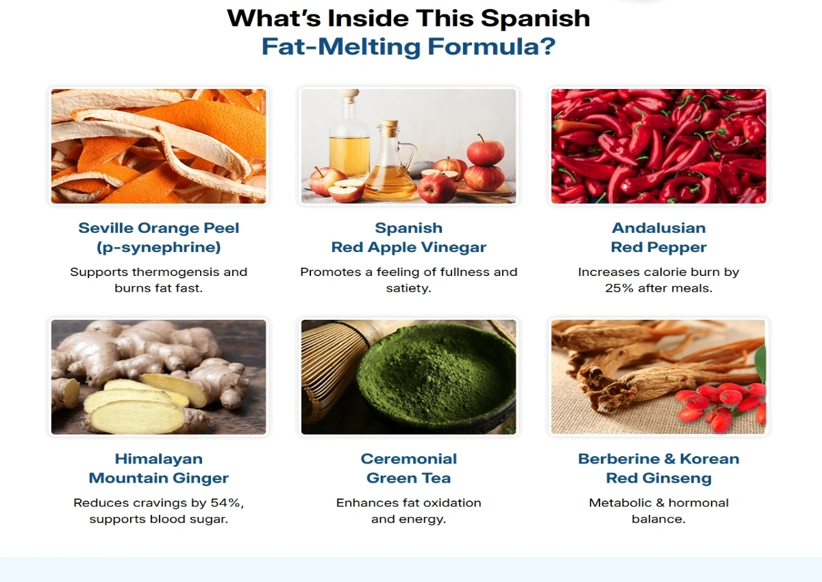 CitrusBurn ingredient Natural Metabolism Support